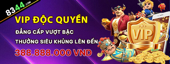 11bet