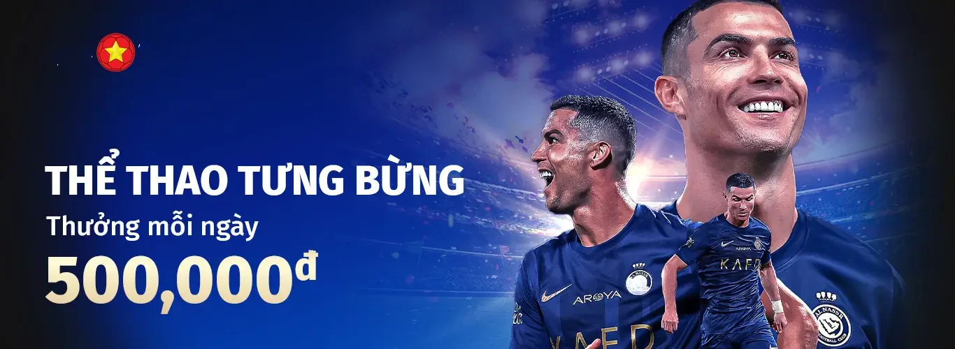 11bet