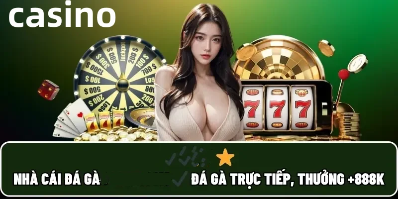 11bet