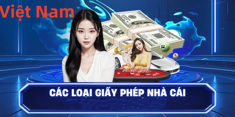 11bet