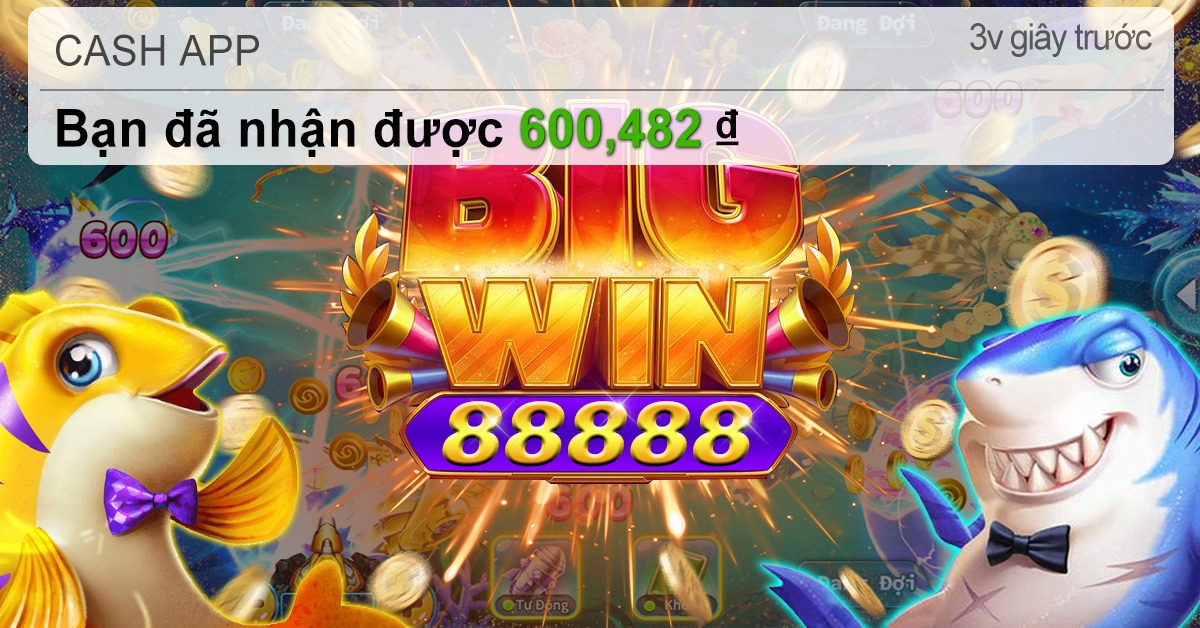 11bet